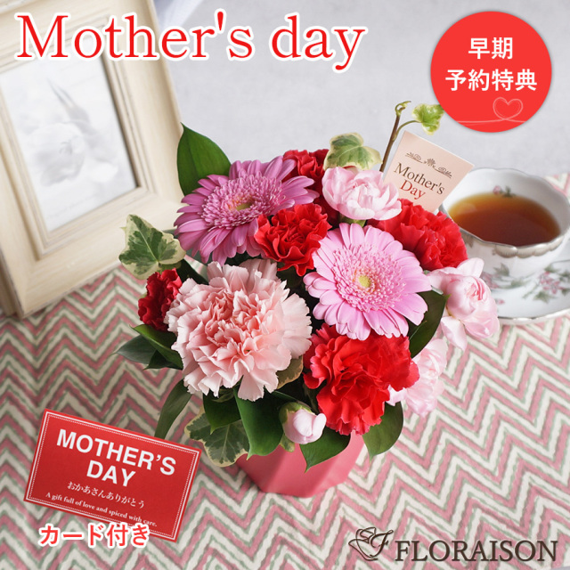 母の日早割【送料無料】【母の日】母の日ピック付き ミニアレンジメント シュクレ