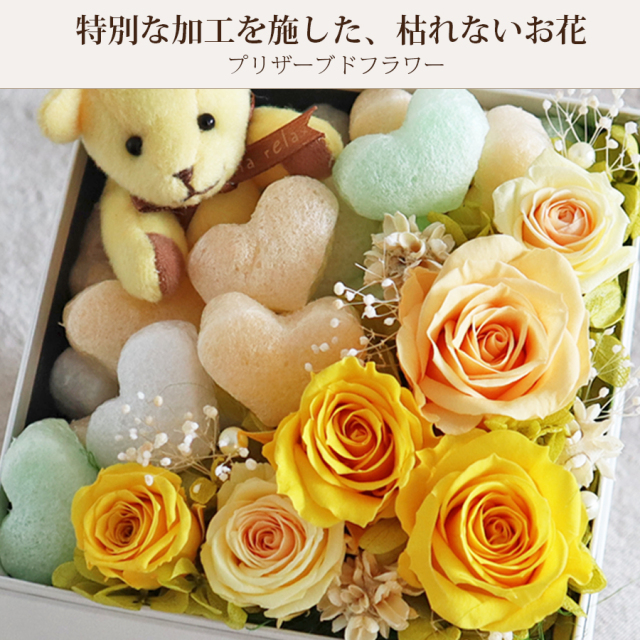 クマのプリザ