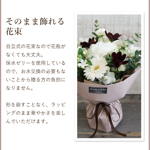 チョコレートコスモスビター