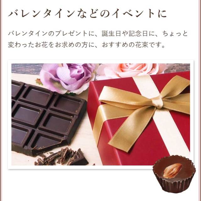 チョコレートコスモスビター