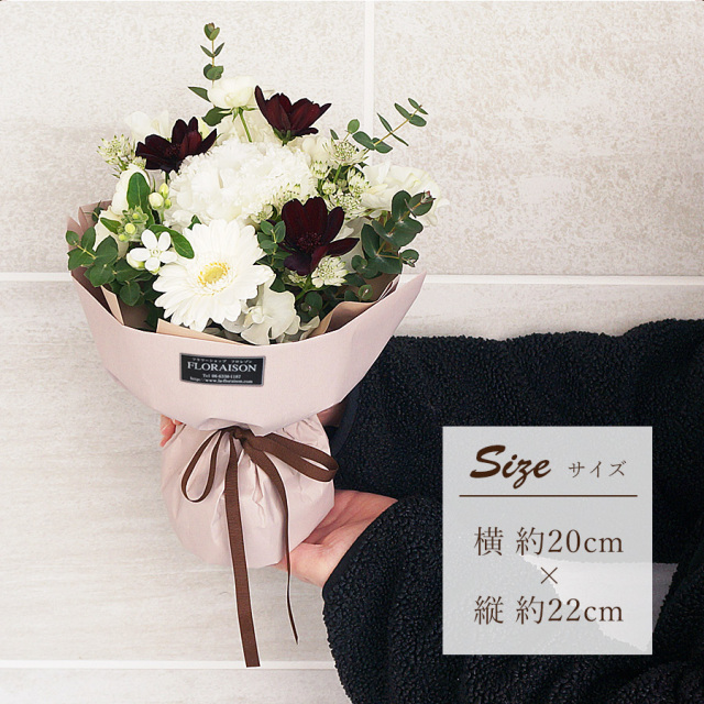 チョコレートコスモスビター