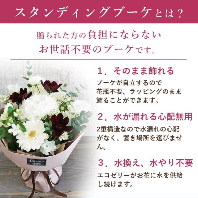 チョコレートコスモスビター