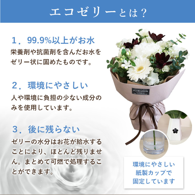 チョコレートコスモスビター