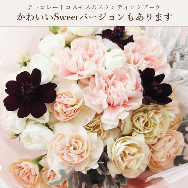 チョコレートコスモスビター