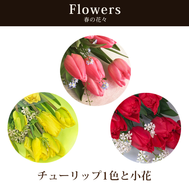 大阪吹田江坂の花屋 フラワーギフトの通信販売｜春限定 チューリップの