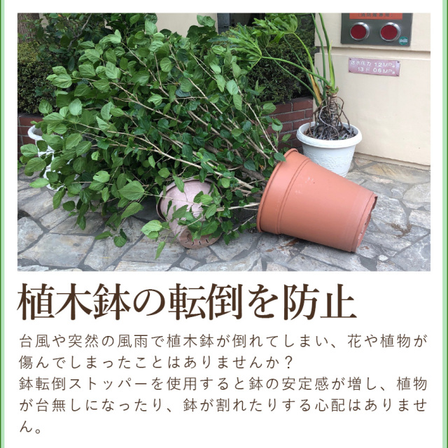 大阪吹田江坂の花屋 園芸用品の通信販売｜台風、強風、地震から鉢植え
