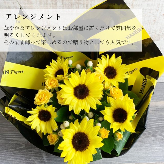 阪神タイガースアレンジ靴下セット