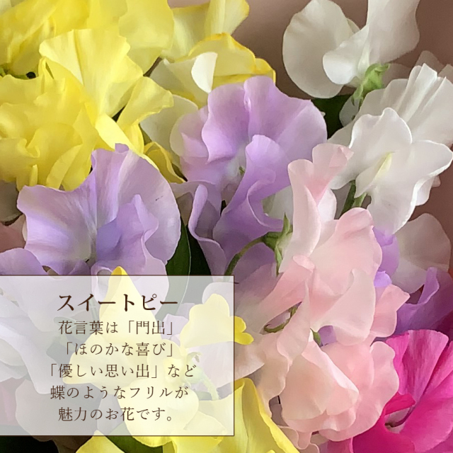 スウィートピー