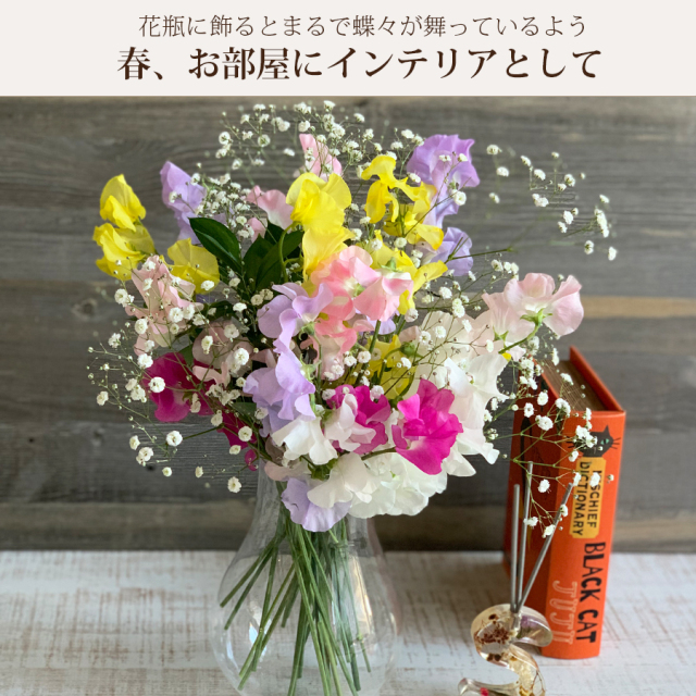 スウィートピー