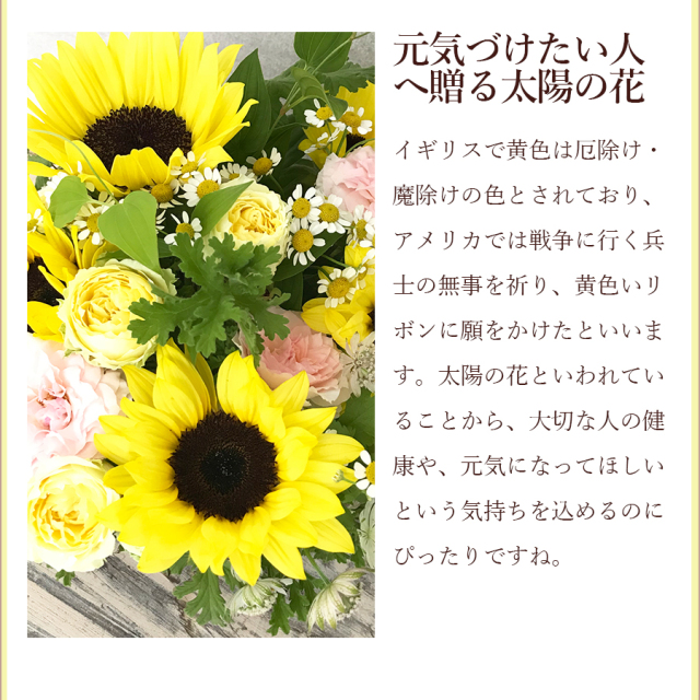フレッシュアレンジ
