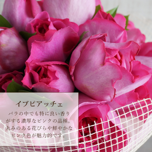 イブピアッチェ