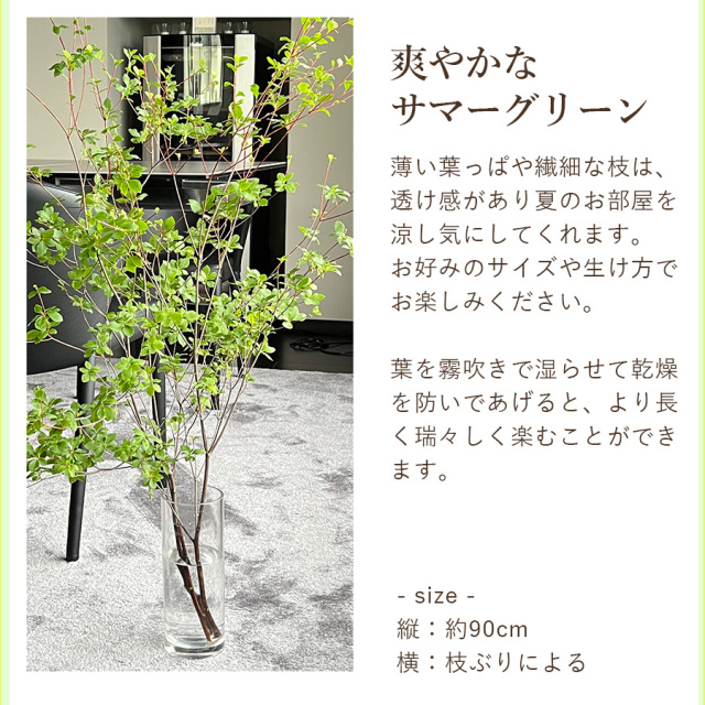 ドウダンツヅジ