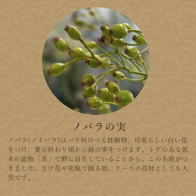 ノバラ
