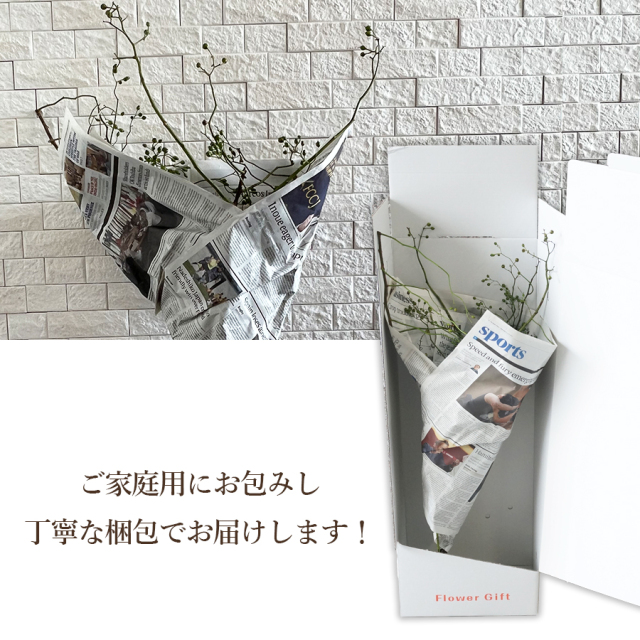 ノバラ