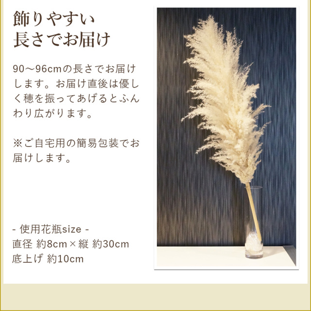 パンパスグラス