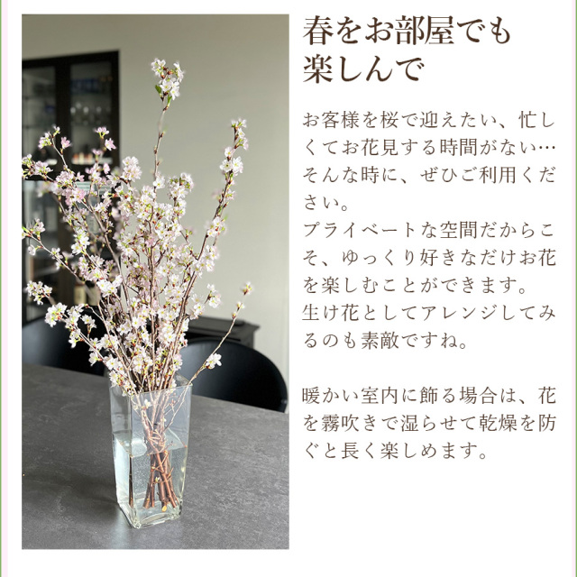 桜