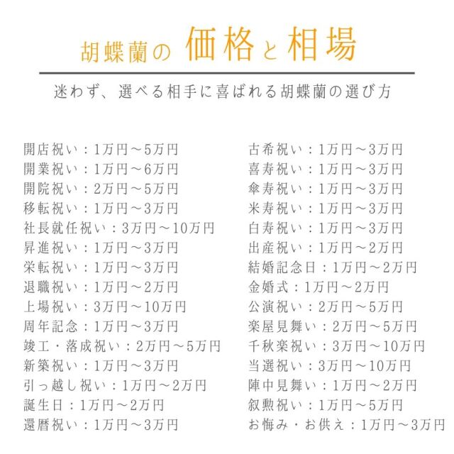 胡蝶蘭の価格と相場