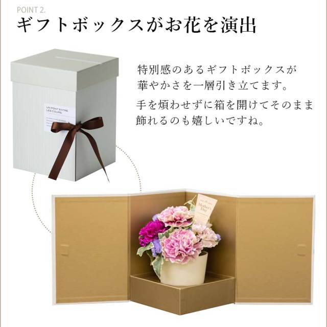 メルシーベルシック9