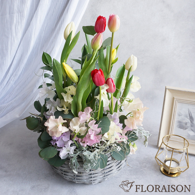 【送料無料・即日発送】【春限定】スイートピーとチューリップのモダンアレンジメント
