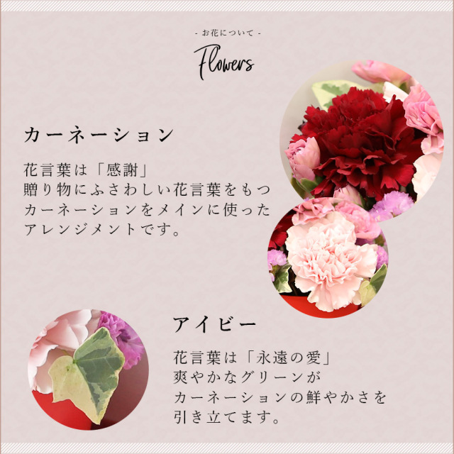 メルシー８