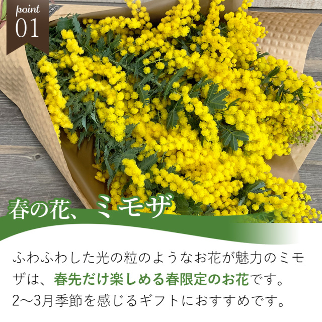 大阪吹田江坂の花屋 フラワーギフトの通信販売｜春の黄色いお花 ミモザ