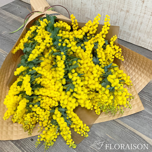 大阪吹田江坂の花屋 フラワーギフトの通信販売｜春の黄色いお花 ミモザ 