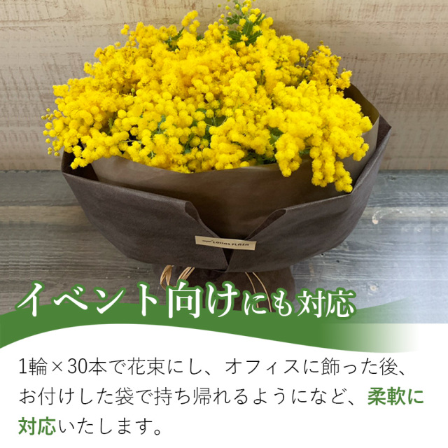 大阪吹田江坂の花屋 フラワーギフトの通信販売｜春の黄色いお花 ミモザ