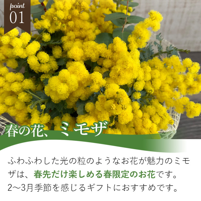 ミモザ