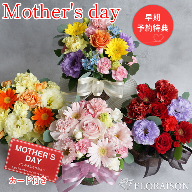 母の日早割【送料無料・即日発送】新キュートアレンジメント  選べるカラー