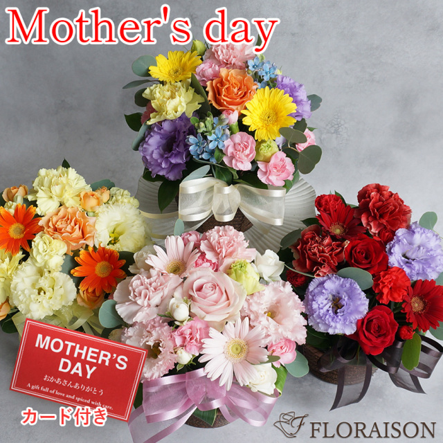 【送料無料・即日発送】新キュートアレンジメント  選べるカラー