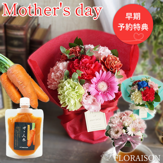 【送料無料】【母の日・花とスイーツ】健康セット選べるお花&人参ジュースパウチ