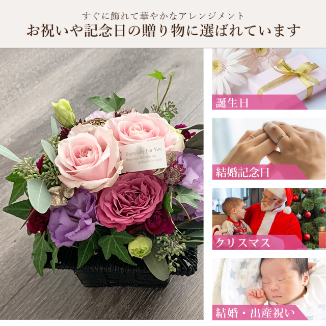 ノエルアレ