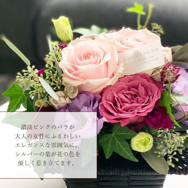 ノエルアレ