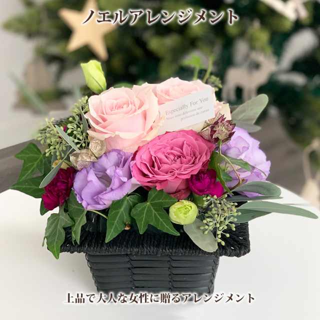 ノエルアレ