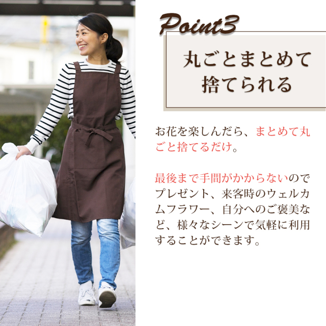 ノエルSB
