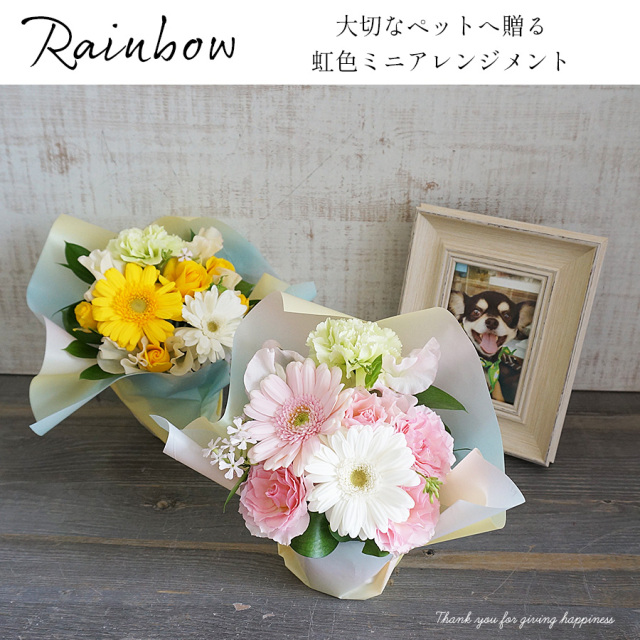 大阪吹田江坂の花屋 お供え花の通信販売｜お悔みの花に、ペットの楽園