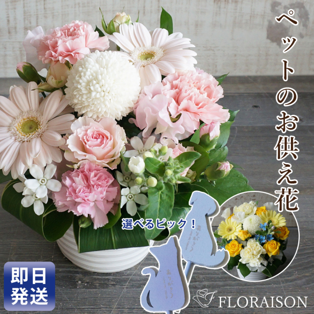 大阪吹田江坂の花屋 お供え花の通信販売｜大切なネコちゃんへのお悔み