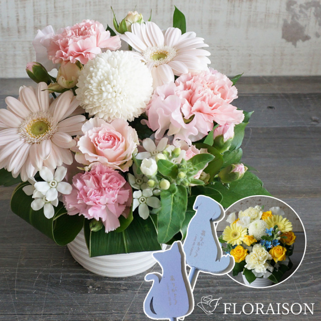 【送料無料・即日発送】ペットのお供えアレンジメント