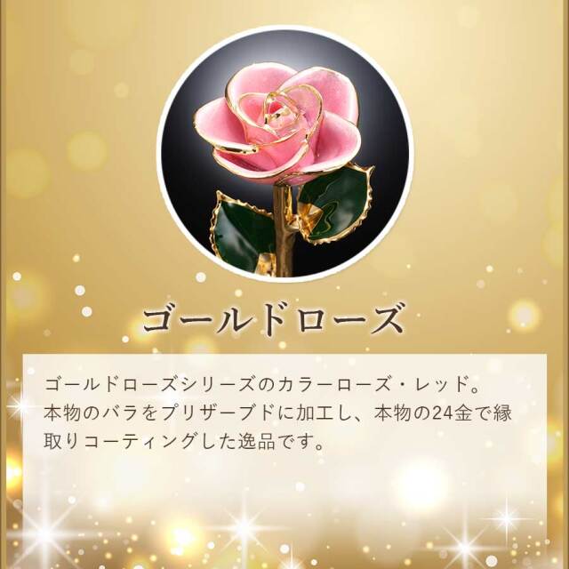 ピンクローズ　ゴールド