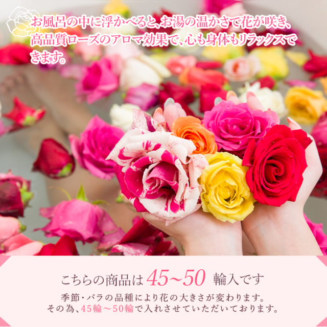ナンバー