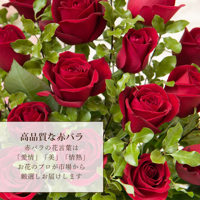 レッドローズ