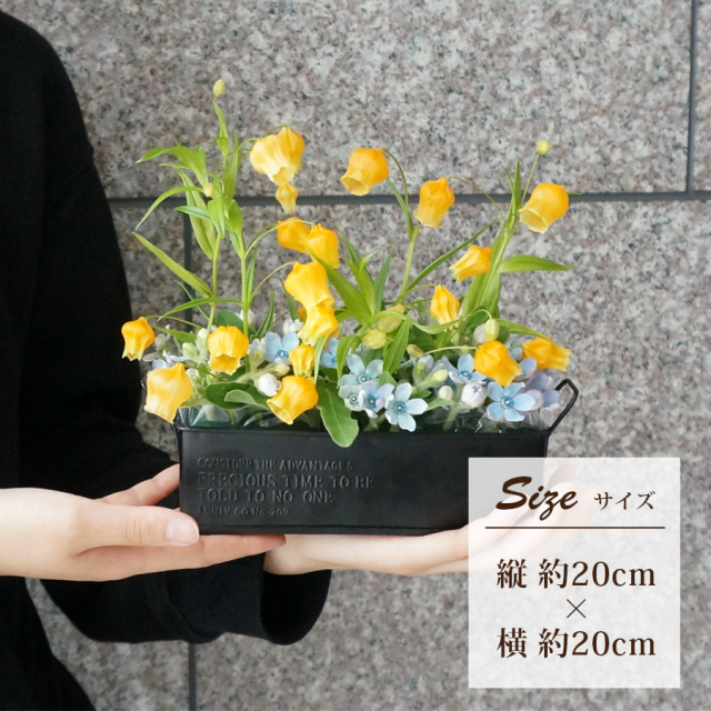 大阪吹田江坂の花屋 フラワーギフトの通信販売｜鈴のような形と