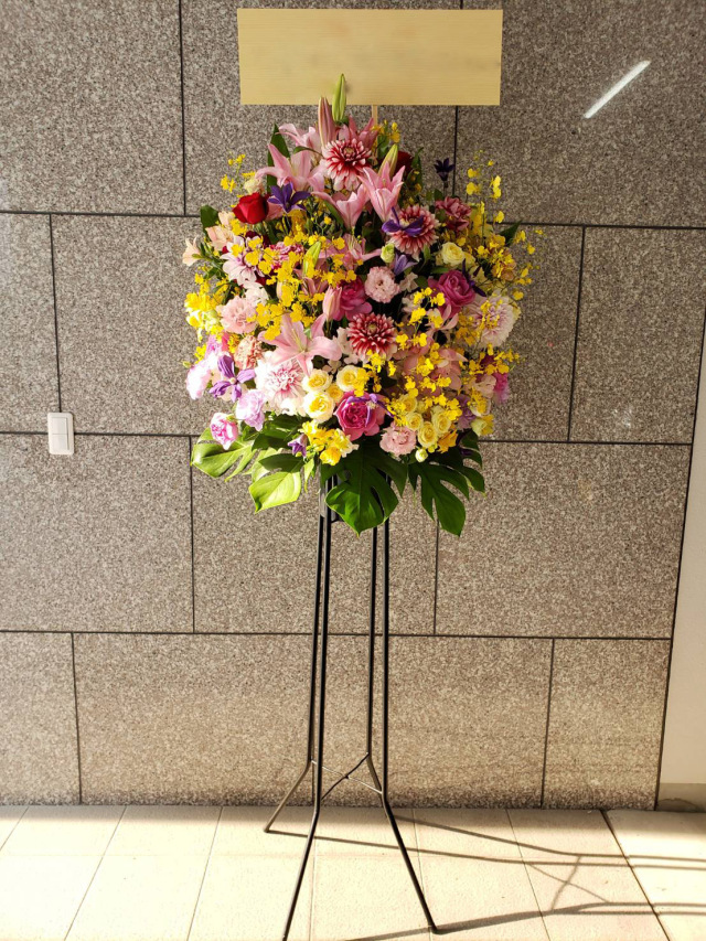 胡蝶蘭　生花　花鉢　ロング５本立ち 胡蝶蘭 ピンク 5本立ち60輪程度 生花｜お祝いギフトなら胡蝶蘭専門店