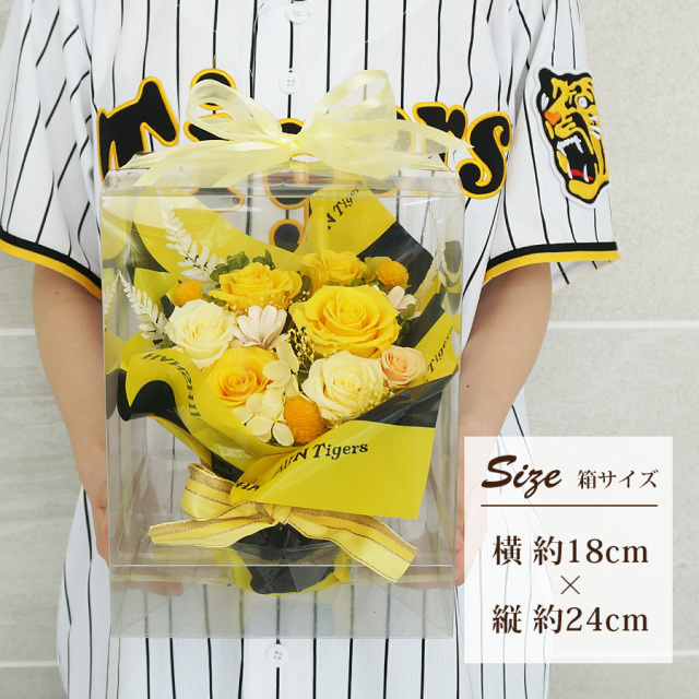 tg-pres-7.jpg?t=20251209154647