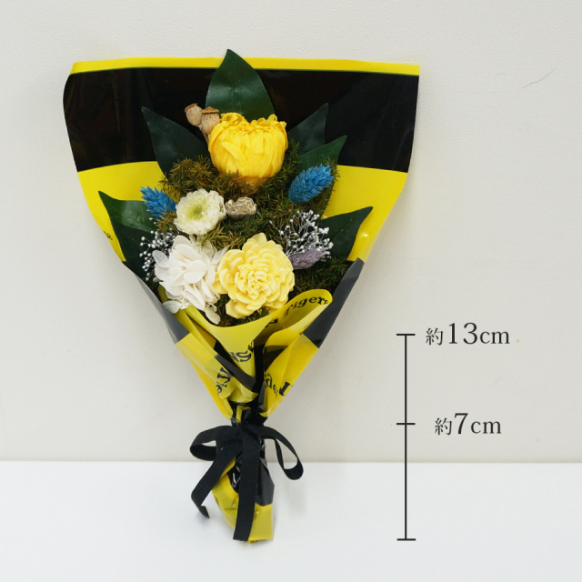 【美品】大阪送料無料★3か月保障付★2020年★MR-CX30F-W★IR-75 OSAKA INTERNATIONAL ART 2025＠大阪城ホール | アフリカフェ＠バラカ