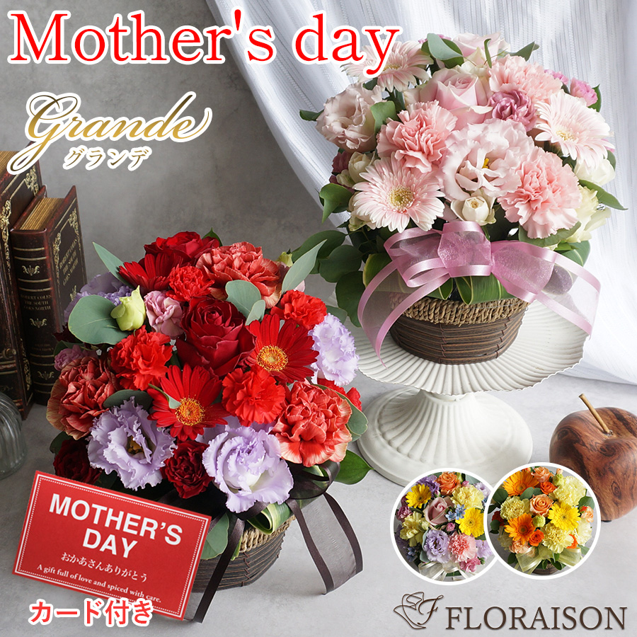 【送料無料】新キュートアレンジメント・グランデ 選べるカラー