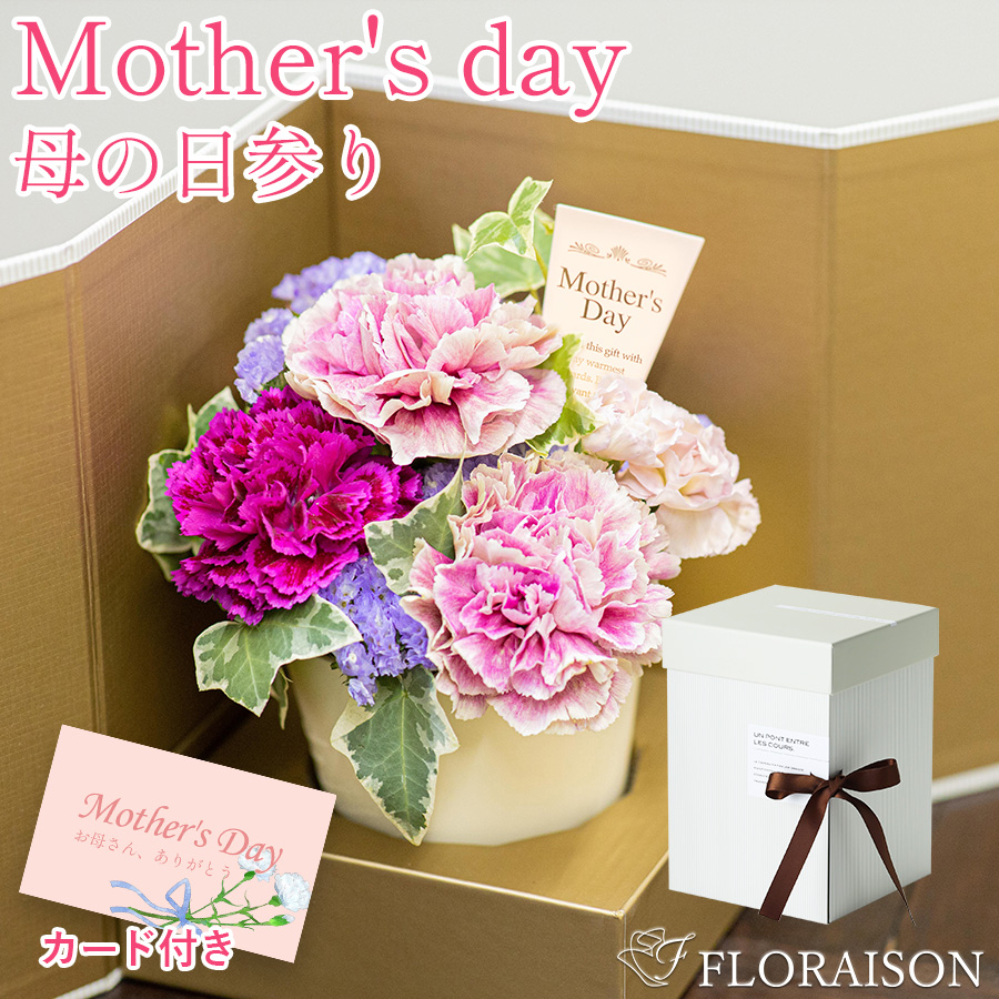 【送料無料】ピック付きアレジメント ベルシック