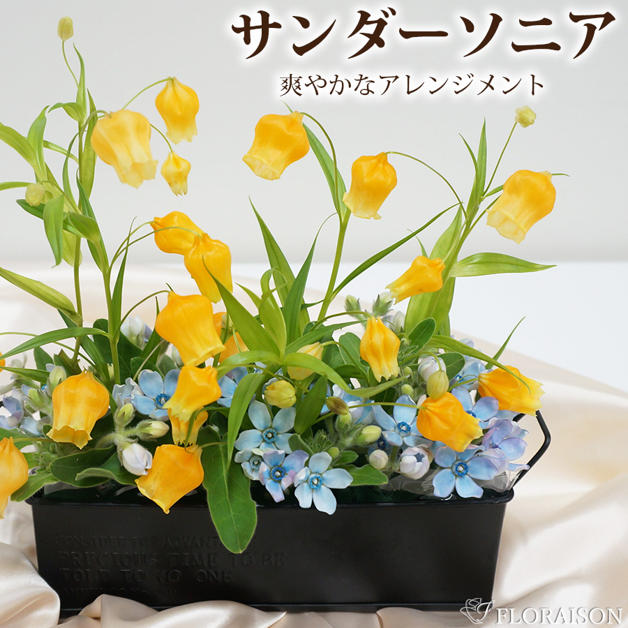 【送料無料】サンダーソニアのアレンジメント