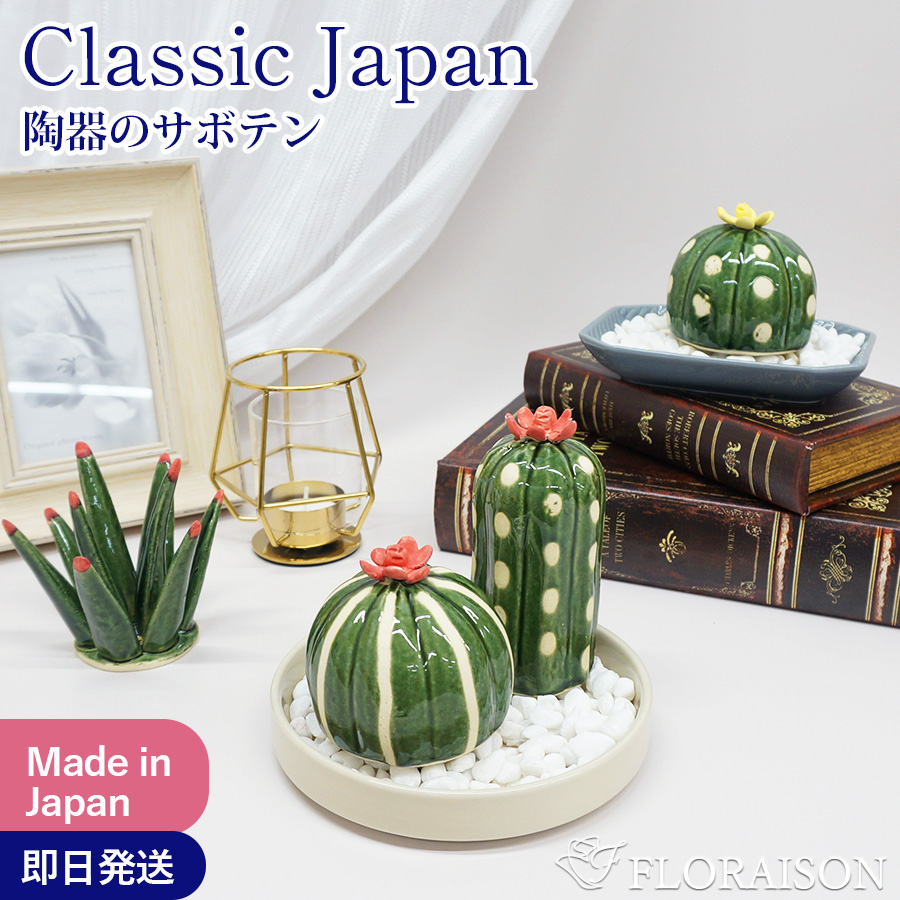 【送料無料】【雑貨】置物 陶器のサボテン SERASABO