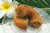 ハニココ豆乳焼きドーナツラムレーズン